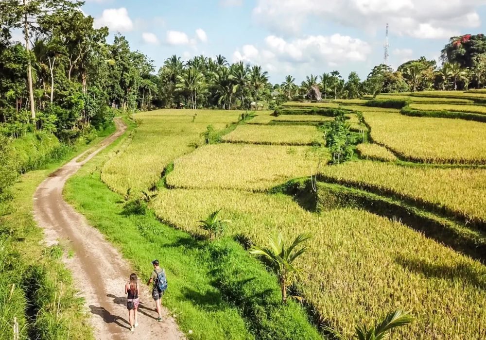 tetebatu